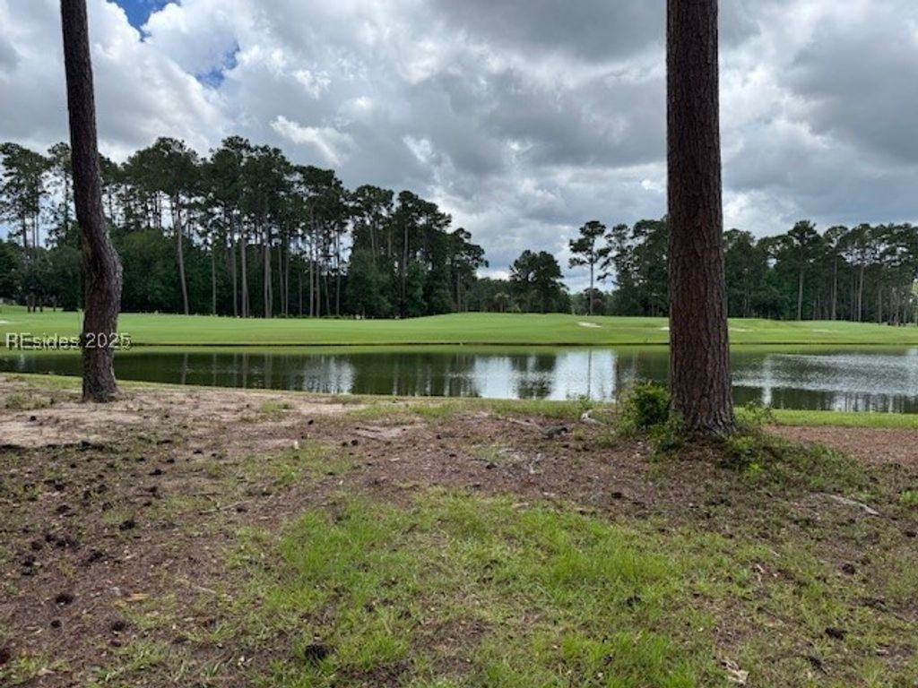 6 Rice Hope Ct, Okatie, SC 29909