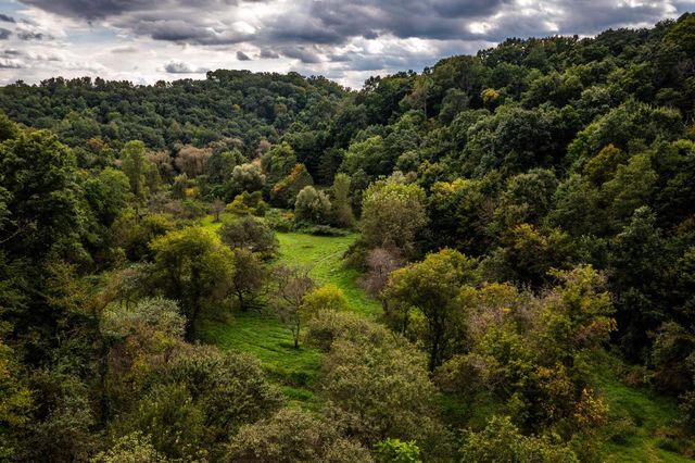 E11330 Allen ROAD, La Farge, WI 54639