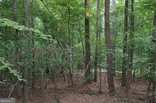 3 Mount Moriah Road, Auburn, GA 30011