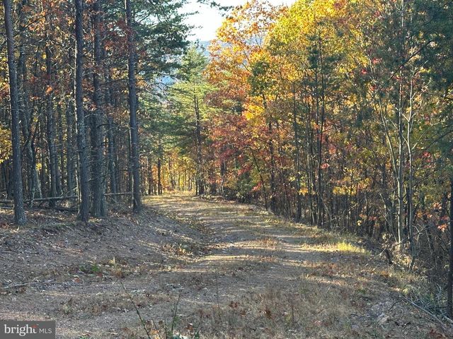 299 ASHTON WOODS, Moorefield, WV 26836