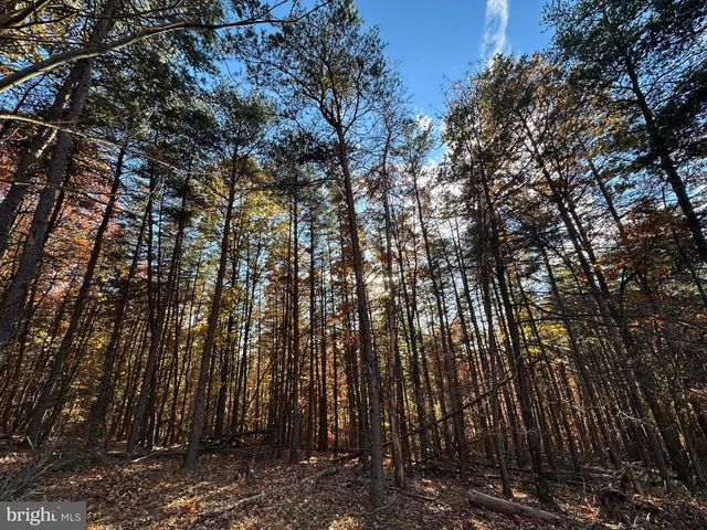 299 ASHTON WOODS, Moorefield, WV 26836