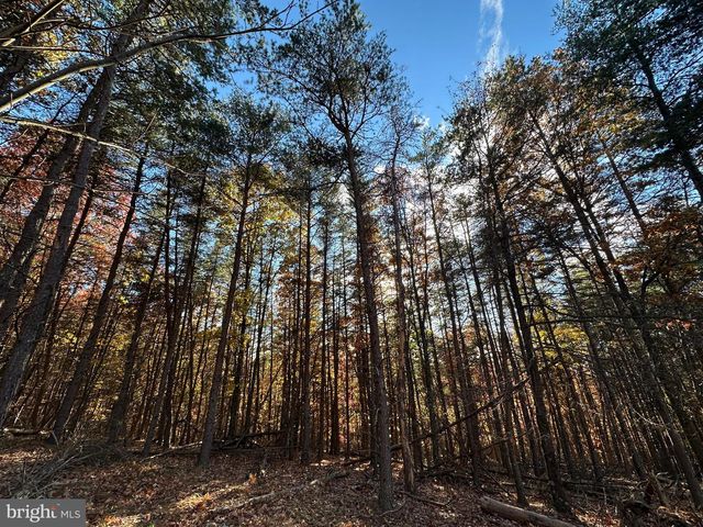 299 ASHTON WOODS, Moorefield, WV 26836