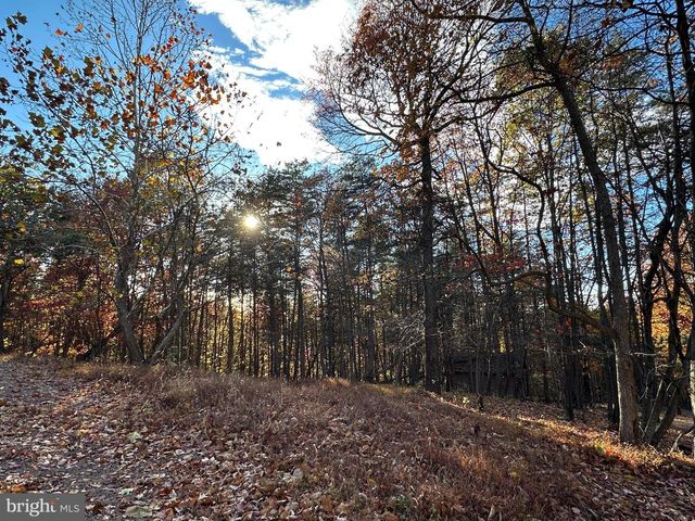 299 ASHTON WOODS, Moorefield, WV 26836