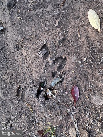 299 ASHTON WOODS, Moorefield, WV 26836