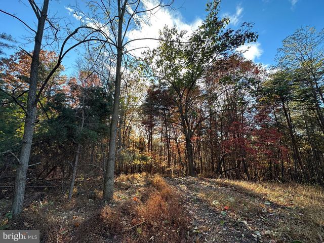 299 ASHTON WOODS, Moorefield, WV 26836