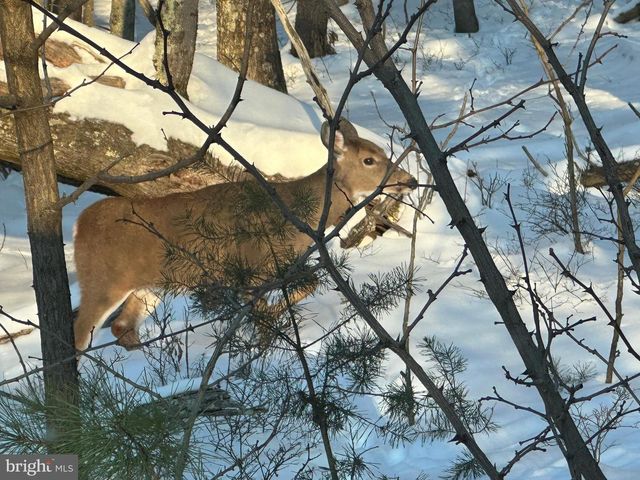 299 ASHTON WOODS, Moorefield, WV 26836