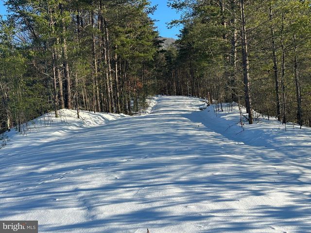 299 ASHTON WOODS, Moorefield, WV 26836