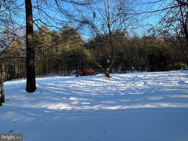 299 ASHTON WOODS, Moorefield, WV 26836