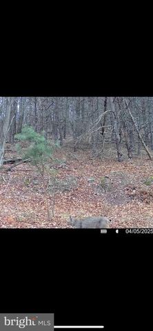 299 ASHTON WOODS, Moorefield, WV 26836