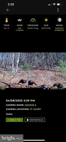 299 ASHTON WOODS, Moorefield, WV 26836