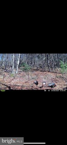 299 ASHTON WOODS, Moorefield, WV 26836