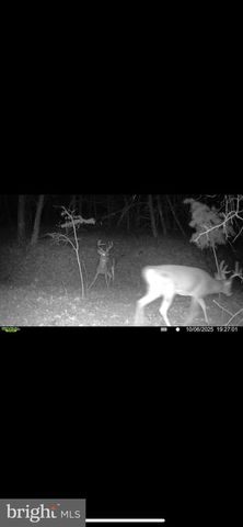 299 ASHTON WOODS, Moorefield, WV 26836