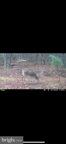 299 ASHTON WOODS, Moorefield, WV 26836