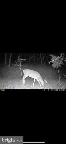 299 ASHTON WOODS, Moorefield, WV 26836