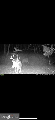 299 ASHTON WOODS, Moorefield, WV 26836