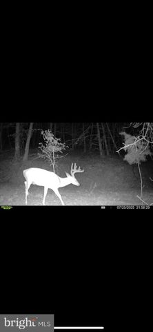 299 ASHTON WOODS, Moorefield, WV 26836