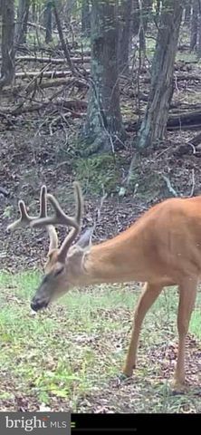 299 ASHTON WOODS, Moorefield, WV 26836