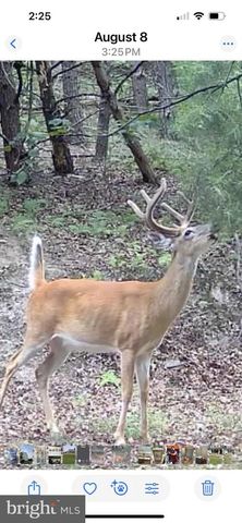 299 ASHTON WOODS, Moorefield, WV 26836