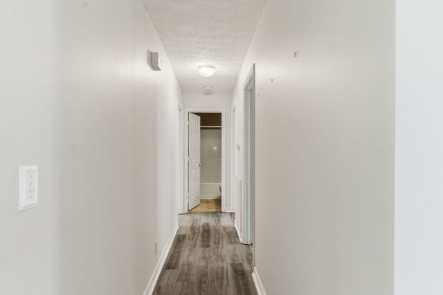 210 Rachel Ct, White House, TN 37188