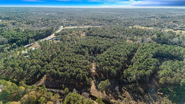 235 Bracewell Cemetery Road, Livingston, TX 77351