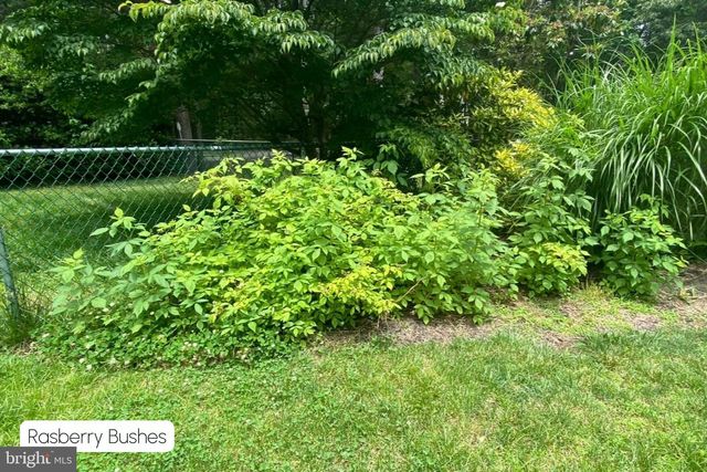 100 CAPTAINS WALK, Egg Harbor Township, NJ 08234