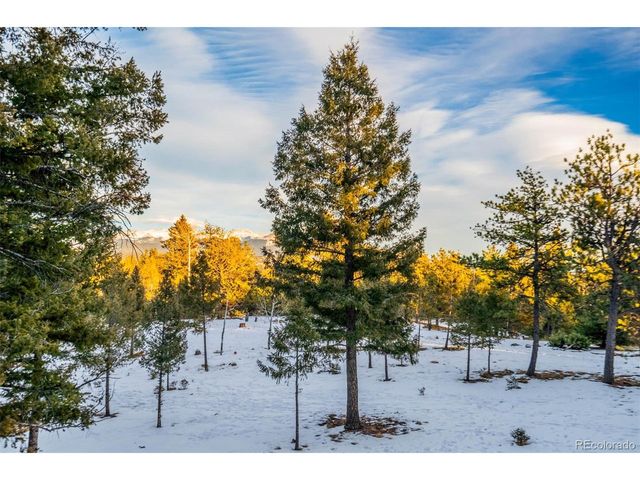 126 Rainier Dr, Florissant, CO 80816