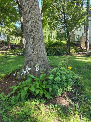 306 Woodlock Street, Ingleside, IL 60041