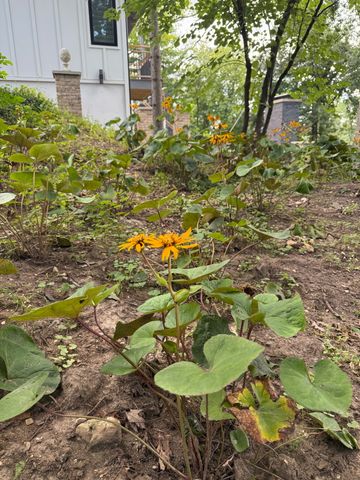 306 Woodlock Street, Ingleside, IL 60041