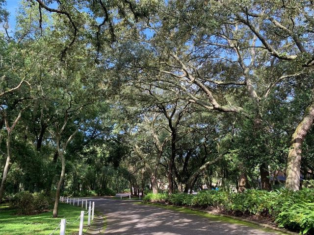 11715 RAINTREE VILLAGE BOULEVARD A, Temple Terrace, FL 33617