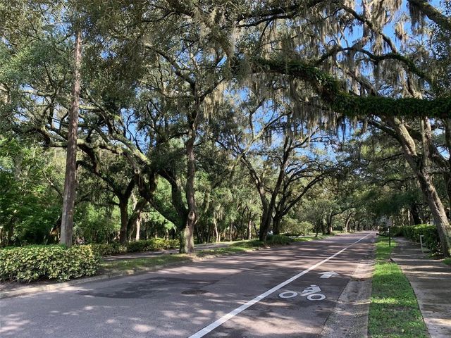 11715 RAINTREE VILLAGE BOULEVARD A, Temple Terrace, FL 33617