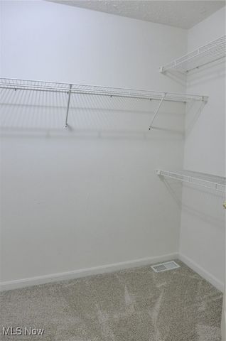 35160 Spatterdock Lane, Solon, OH 44139