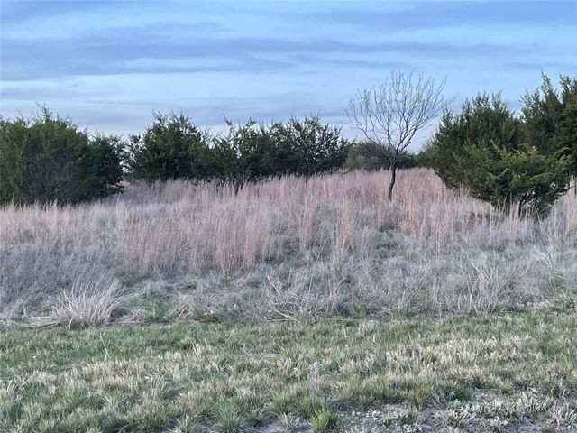 109 Gilmore Court, Lipan, TX 76462