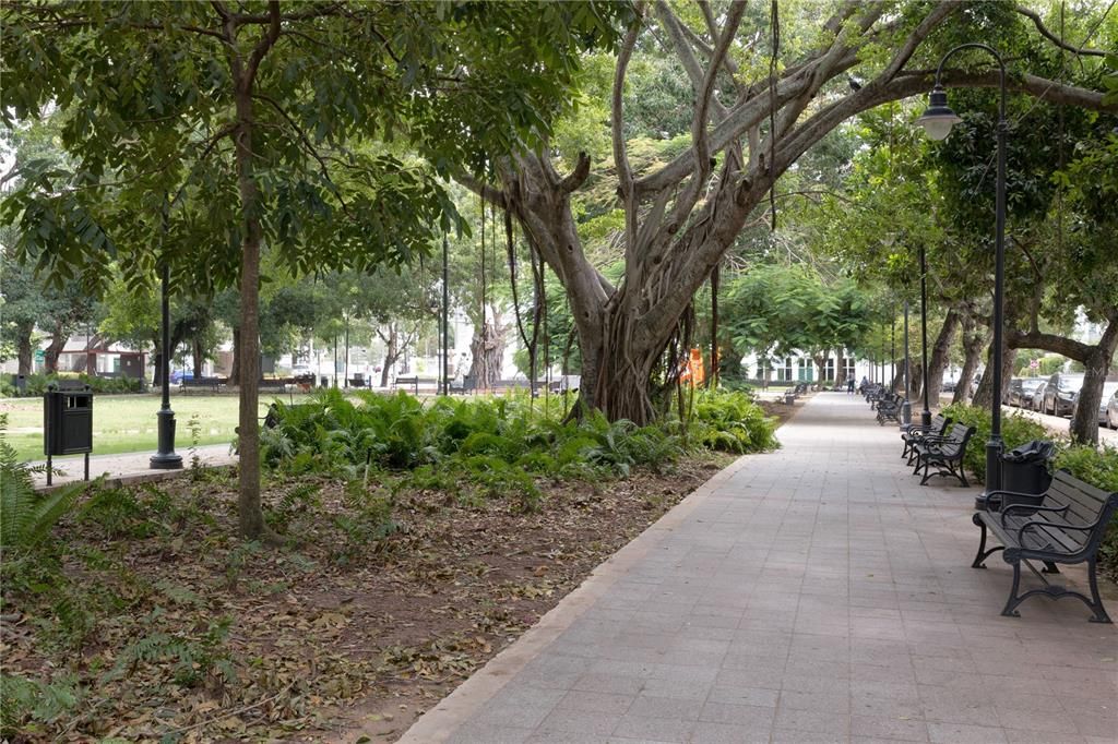 Image 10 of property listing at 1365 WILSON AVENUE WEST, HAVEN THE RESIDENCES, San Juan, PR 00907