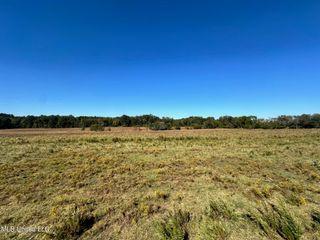 Lot #2 Robinson - Warren Meadows Road, Canton, MS 39046