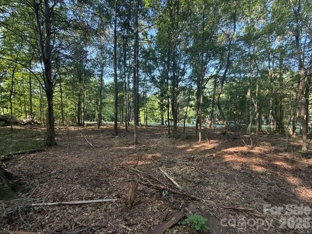 11219 Johnson Davis Road, Huntersville, NC 28078