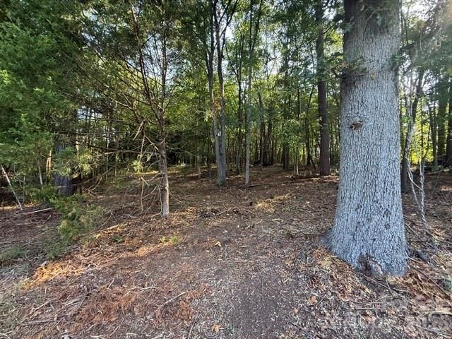 11219 Johnson Davis Road, Huntersville, NC 28078