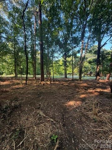 11219 Johnson Davis Road, Huntersville, NC 28078