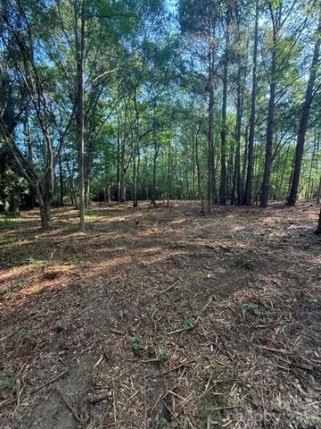 11219 Johnson Davis Road, Huntersville, NC 28078