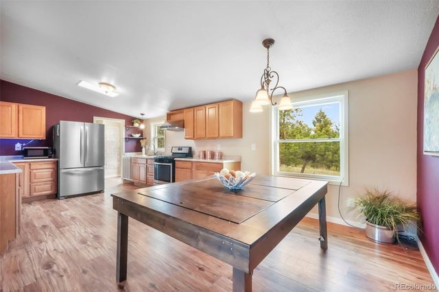 696 Calle De La Nieva, Florissant, CO 80816