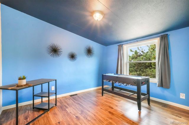 696 Calle De La Nieva, Florissant, CO 80816