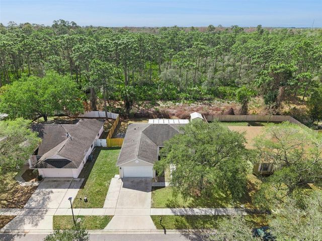 13808 RIVERPATH GROVE DRIVE, Orlando, FL 32826