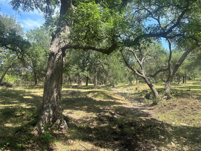 543 Narrows RD, Blanco, TX 78606