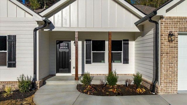 129 County Road 155 Lot 12, Riceville, TN 37370