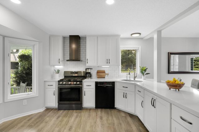 8841 Loch Lomond Court, Brooklyn Park, MN 55443