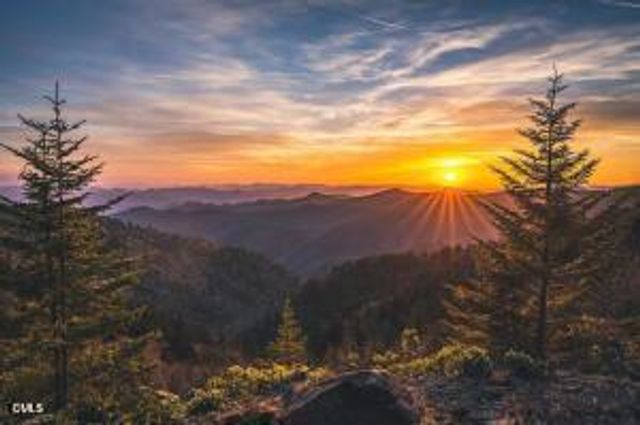 82 Sunburst Court, Fuquay Varina, NC 27526