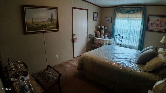 1168 Webster Valley Road, Rogersville, TN 37857