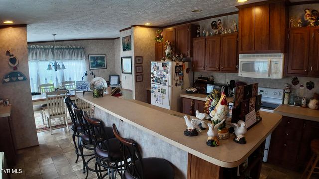 1168 Webster Valley Road, Rogersville, TN 37857