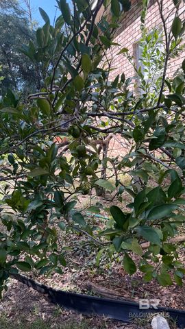 185 Magnolia Loop, Flomaton, AL 36441