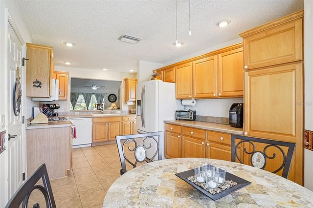 16596 SE 77TH NORTHRIDGE COURT, The Villages, FL 32162