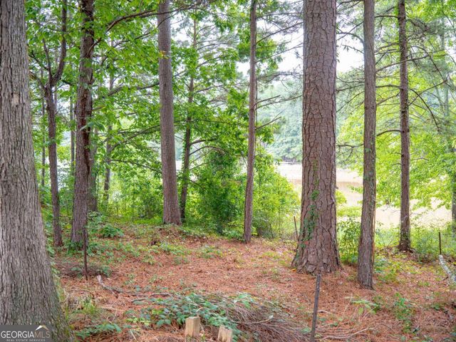 1860 Pinehurst View Drive, Grayson, GA 30017